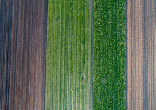 istock Aerial image of farmland 691895740