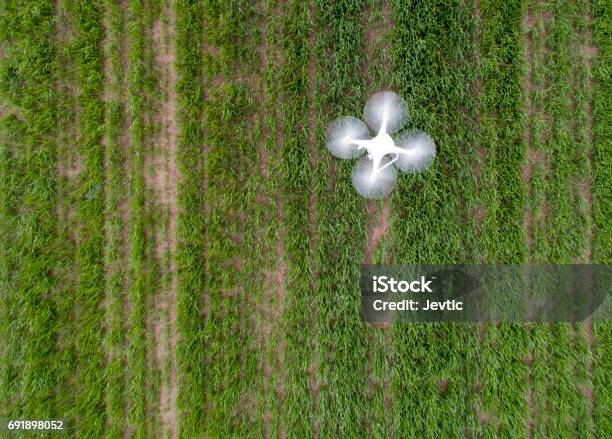 Drone Flying Above Field Stock Photo - Download Image Now - Drone, Agriculture, Agricultural Field