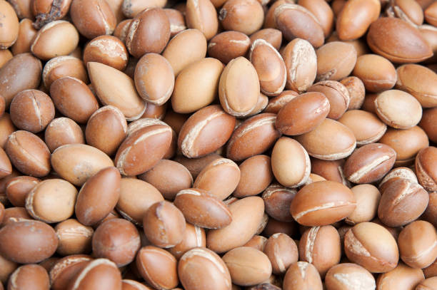 istock Stack of argan fruit at the local Moroccan markets, Marrakesh, Morocco 691898170