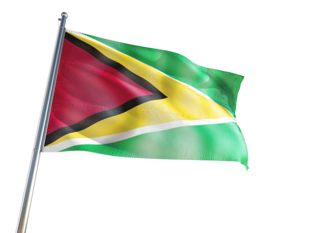 istock Flag of Guyana on White Background 691898300