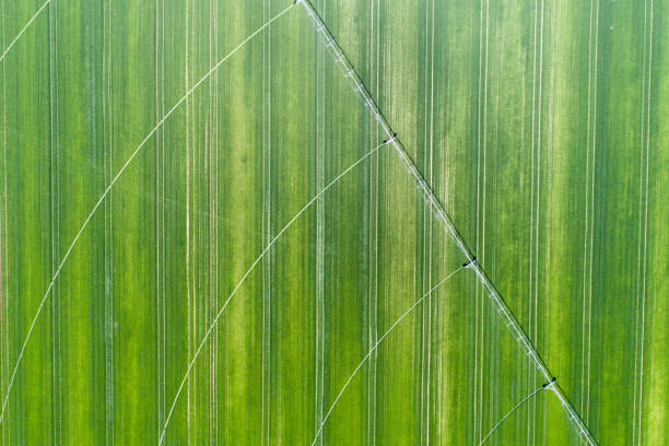 sistema de riego en campo - watering place fotografías e imágenes de stock