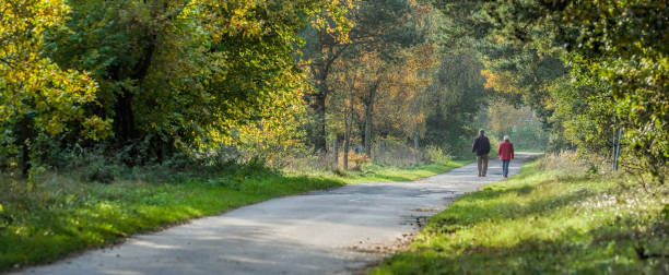 Rear view on senior couple walking in autumn on footpath through forest stock photo