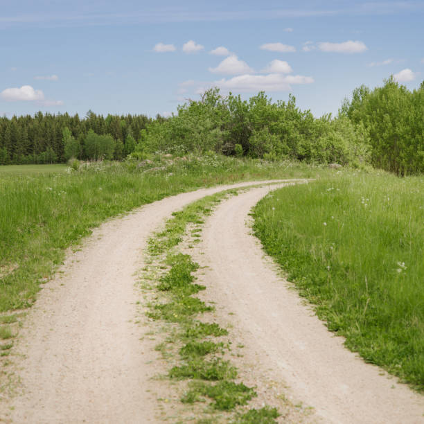 Summer nature landscape rural road in Scandinavia