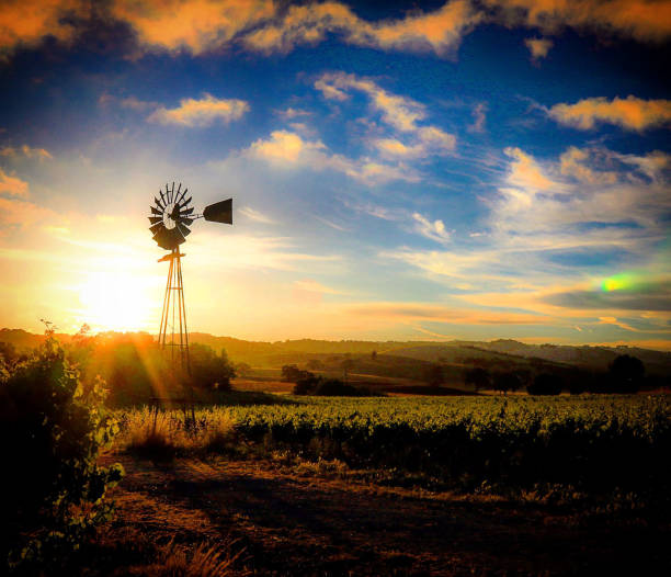 istock Paso Robles Wine Country 691913072
