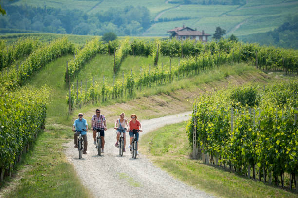 Family holidays in Langhe region, Piedmont, Italy: Electric bikes trip in the hills Family holidays in Langhe region, Piedmont, Italy: Electric bikes trip in the hills langhe photos stock pictures, royalty-free photos & images