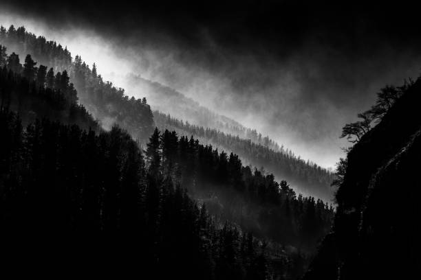 istock dark landscape with foggy forest 691913948