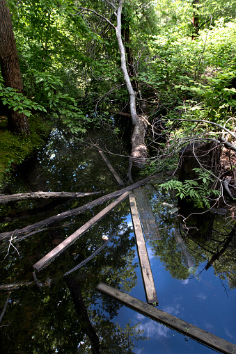 debris thrown into a creek in a protected wetlands area,Eastern Long Island, NY, which has completely clogged the stream