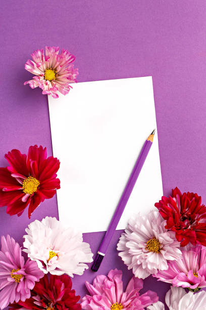 istock Flower greeting card on a purple background. Chrysanthemums variations with a pencil. Top view 691923082