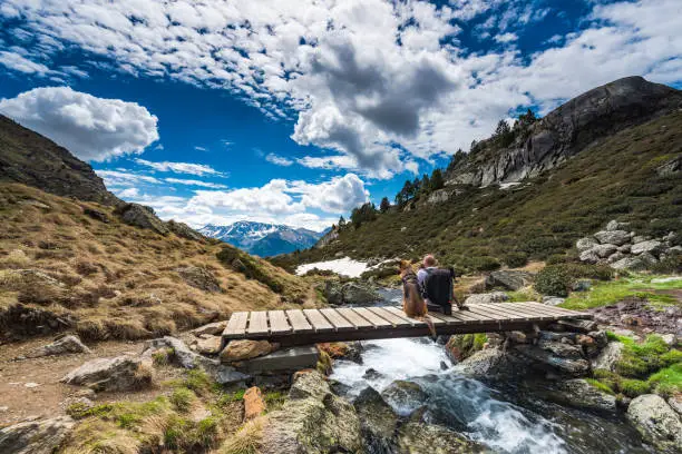 Wanderluster hiker sitting with dog in mountains on wooden bridge