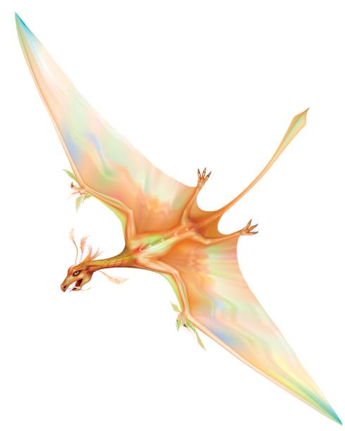 Long tailed pterosaurs Long tailed pterosaurs in flight with outstretched wings. vector illustration long tailed lizard stock illustrations
