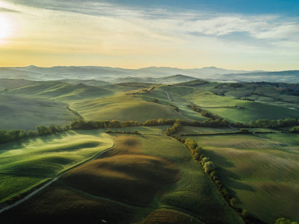 paisaje de tuscany en amanecer con niebla baja - campo tierra cultivada fotos fotografías e imágenes de stock