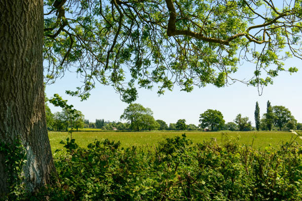 istock English Countryside landscape 691940312