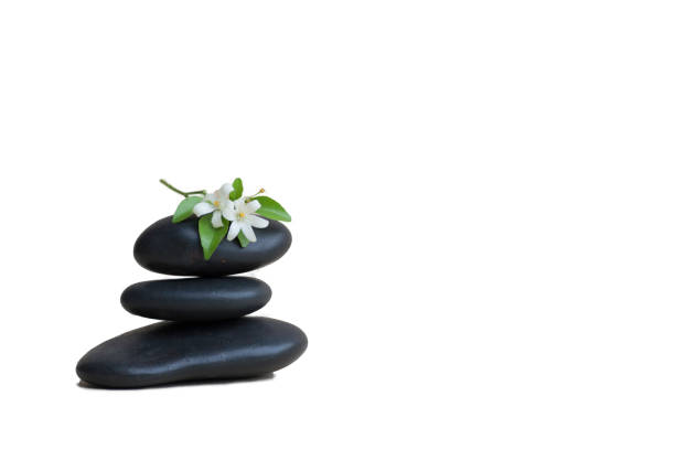 istock White flowers on three black stones,isolated on white 691950190