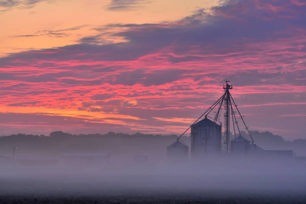 Eastern Shore Farm at Sunrise A farm complex on Maryland's Eastern Shore as the sun burns through the early morning cloud cover with the morning mist caused by the marine layer adjacent to the ocean assateague island national seashore photos stock pictures, royalty-free photos & images