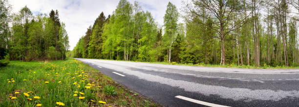 istock Asphalt road in beautiful spring day 691953732