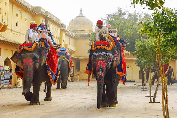 Indian elephants painted and with decoration
