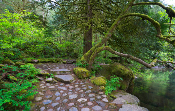 Trail in Moulton Falls Park