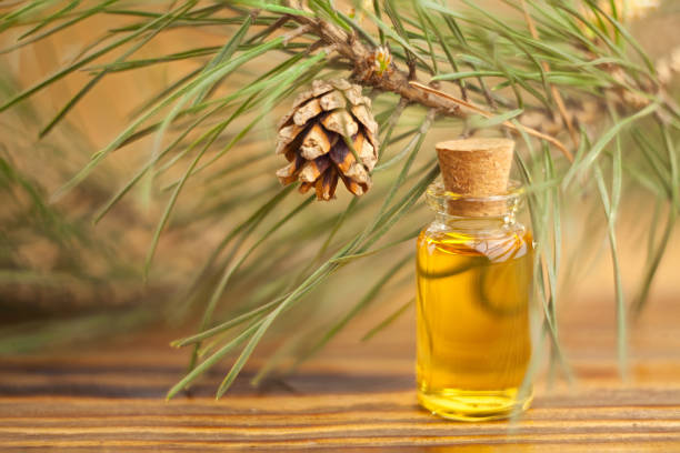 istock Essence of pine on table in beautiful glass jar 691981512