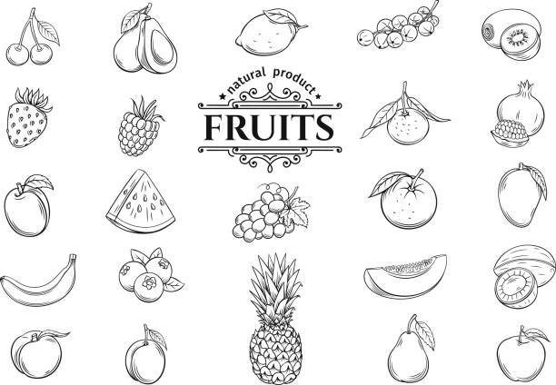 illustrazioni stock, clip art, cartoni animati e icone di tendenza di set di icone di frutta disegnate a mano vettoriale - fragola illustrazioni