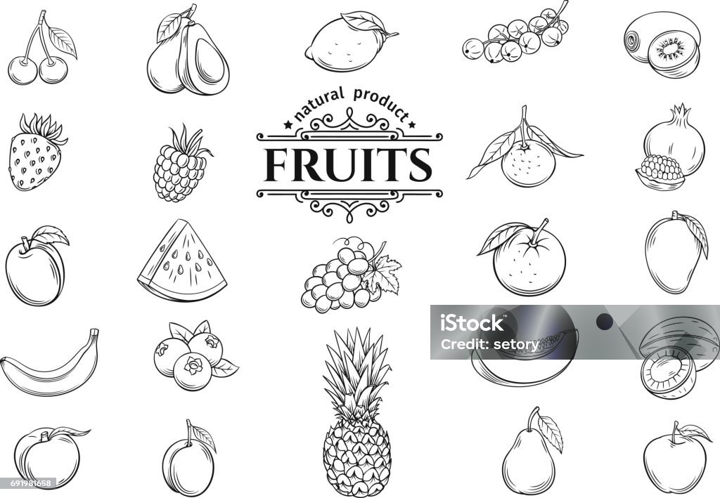 Vector hand drawn fruits icons set Vector hand drawn fruits icons set. Decorative retro style collection farm product restaurant menu, market label. Fruit stock vector