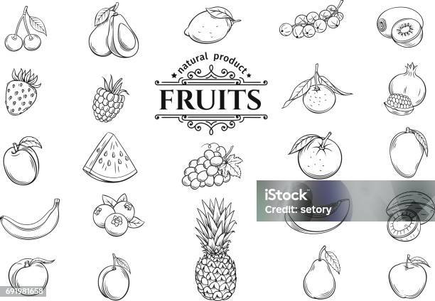 Vector Hand Drawn Fruits Icons Set Stock Illustration - Download Image Now - Fruit, Illustration, Drawing - Art Product