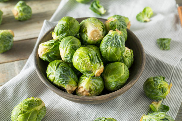 raw organic green brussel sprouts - brusselsprouts imagens e fotografias de stock