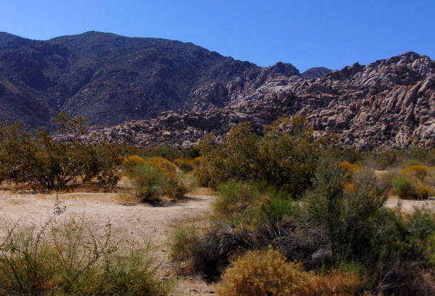 istock A Rocky Landscape in the Desert 691984152