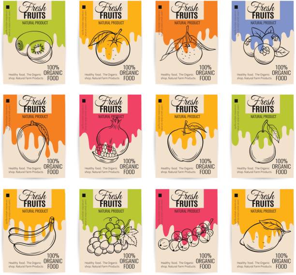 Vector hand drawn fruits posters Vector hand drawn fruits posters. Vintage style healthy food concept for farmers market menu design mango fruit drawing stock illustrations