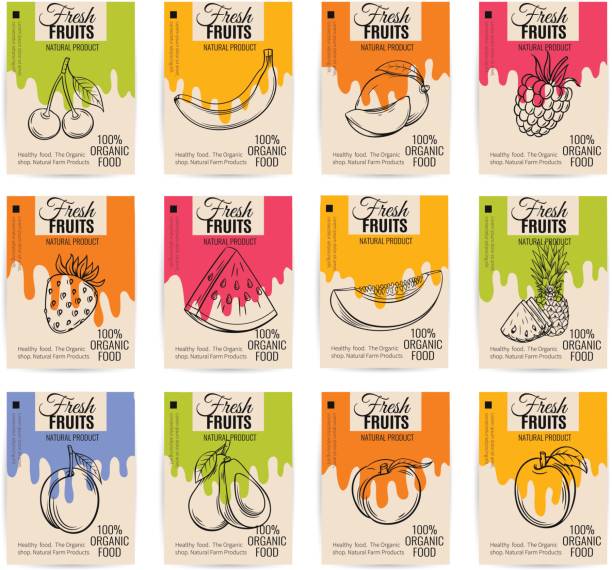 Vector hand drawn fruits posters Vector hand drawn fruits posters. Vintage style healthy food concept for farmers market menu design mango fruit drawing stock illustrations