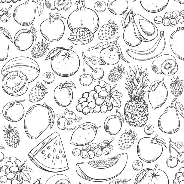 illustrazioni stock, clip art, cartoni animati e icone di tendenza di motivo senza cuciture per frutta disegnata a mano - plum fruit organic food and drink