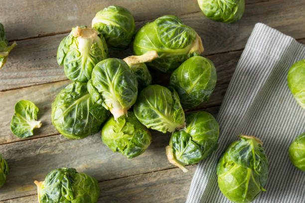 raw organic green brussel sprouts - brusselsprouts imagens e fotografias de stock