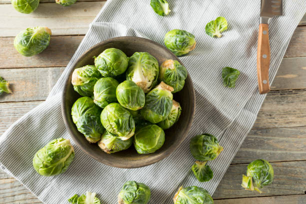 coles de bruselas verde orgánico crudo - col de bruselas fotografías e imágenes de stock