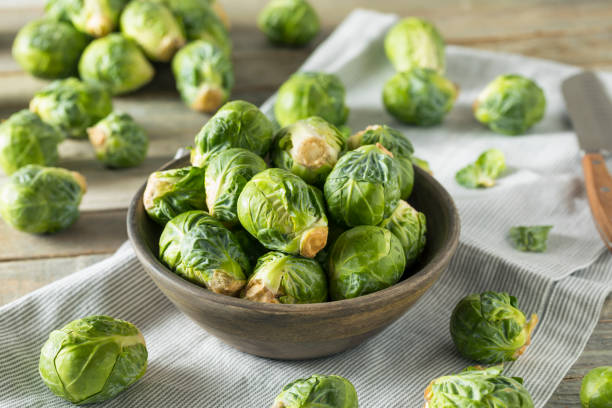 raw organic green brussel sprouts - brusselsprouts imagens e fotografias de stock