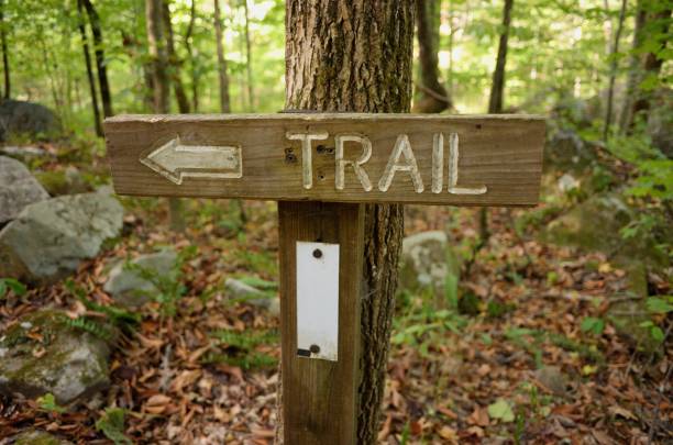istock Trail sign in woods 691991602
