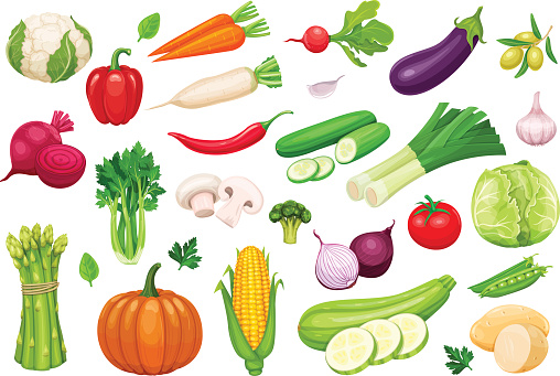 Vector vegetables icons set in cartoon style. Collection farm product for restaurant menu, market label.