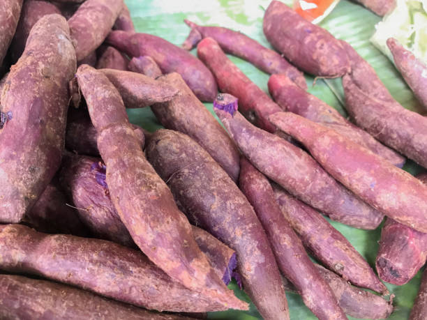 istock Cassava root for sale in the market 692000964
