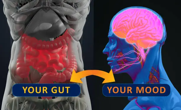 Photo of Gut-brain connection or gut brain axis. Concept art showing a connection from the gut, influencing your mood. 3d illustration.