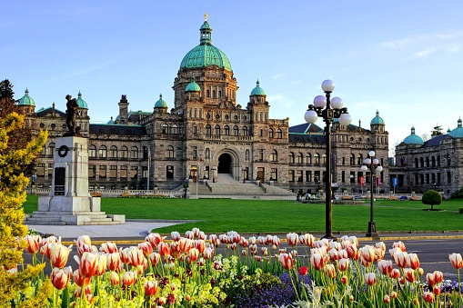 Parlamento provincial de la Columbia Británica con tulipanes de primavera photo
