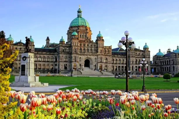 Photo of British Columbia provincial parliament building with spring tulips