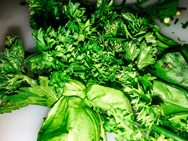 Close-Up Of Herbs