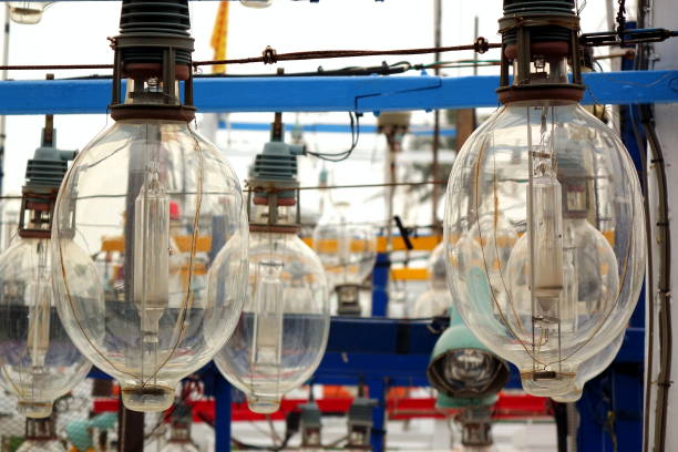 istock Large Bulb Fishing Light Attractors 692064180