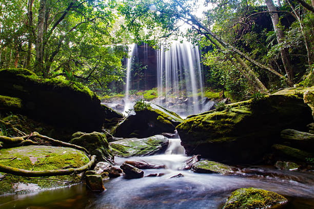 istock Idyllic View Of Waterfall In Forest 692064545