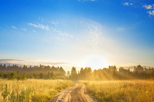 istock rural landscape with sunrise  and  road 692100226