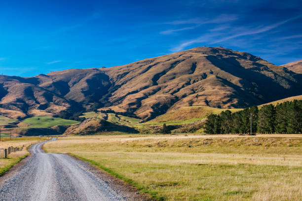 istock Southland, New Zealand 692116030