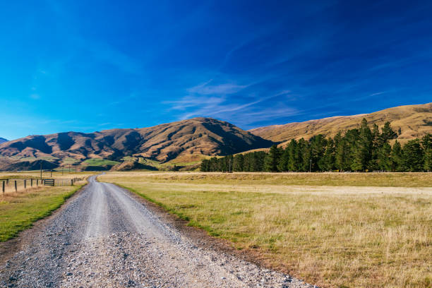 istock Southland, New Zealand 692116072