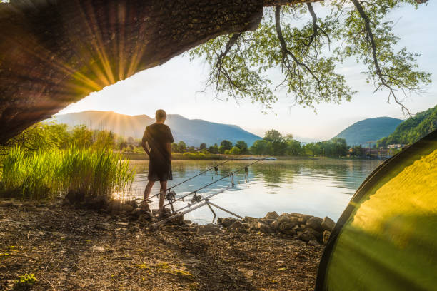 Fishing adventures, carp fishing. Angler, at sunset, is fishing with carpfishing technique Fisherman in backlight. Camping on the shore of the lake on a beautiful day. Carp fishing equipment, tent, rod pod, bite alarms, fishing rods carp stock pictures, royalty-free photos & images