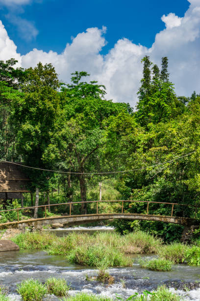 istock concrete foot bridge over a small river 692119818