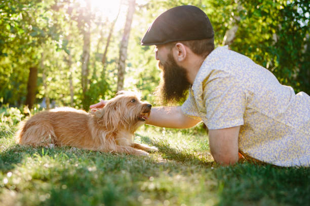 istock pet owner: bearded man with his small mixed-breed dog 692129084