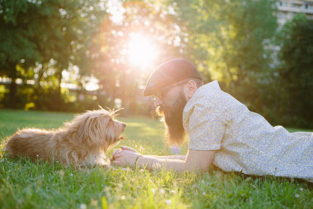 istock pet owner: bearded man with his small mixed-breed dog 692129096