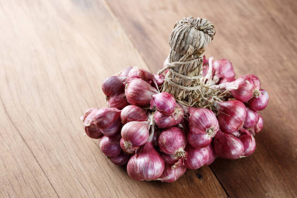 istock shallots onion on wood background front perspective view 692132522